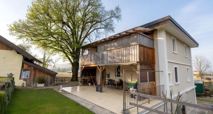 Greenfield 4 Mensch und Tier image 3