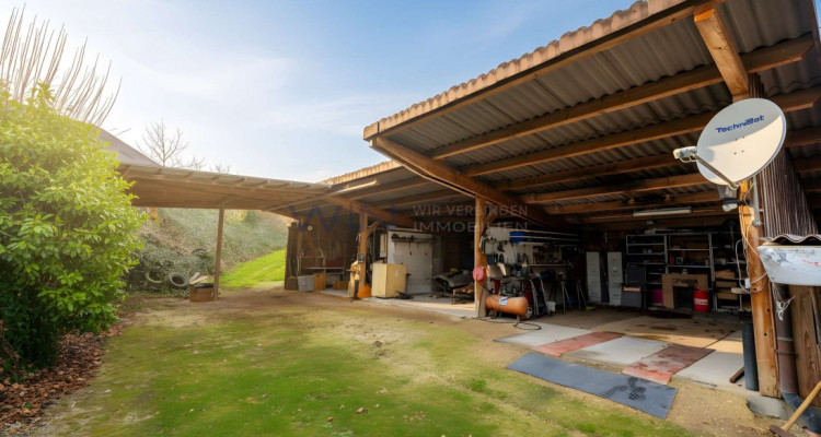 Greenfield 4 Mensch und Tier image 6