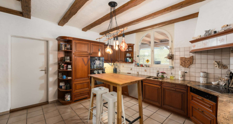 Greenfield 4 Mensch und Tier image 7