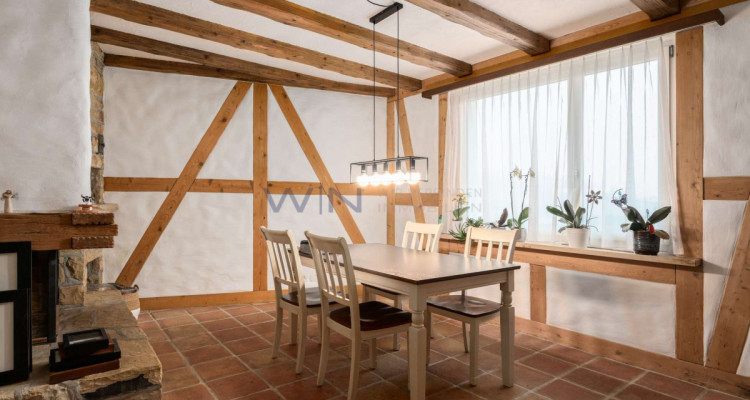 Greenfield 4 Mensch und Tier image 10