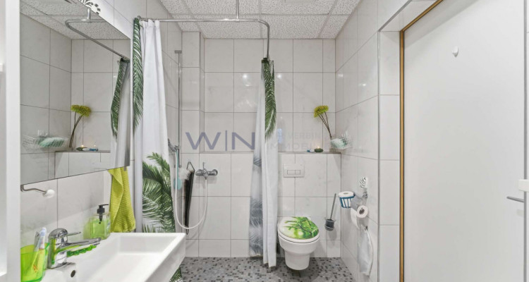 Greenfield 4 Mensch und Tier image 11