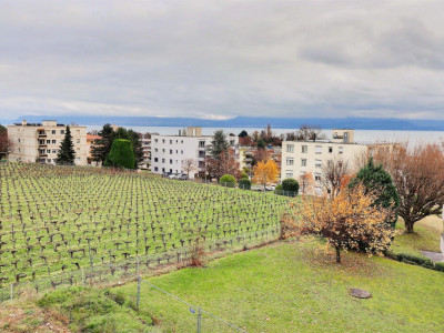 Charmant appartement en viager occupé sans rente, idéalement situé à Mont-sur-Rolle, au coeur de lun des villages les plus prisés de La Côte. image 12