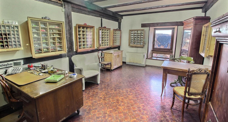 Jolie maison en viager occupé sans rente image 7