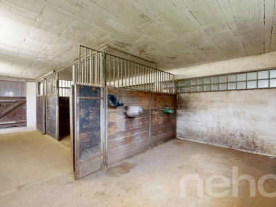 Idyllische Wohnung ideal für Pferdeliebhaber image 10