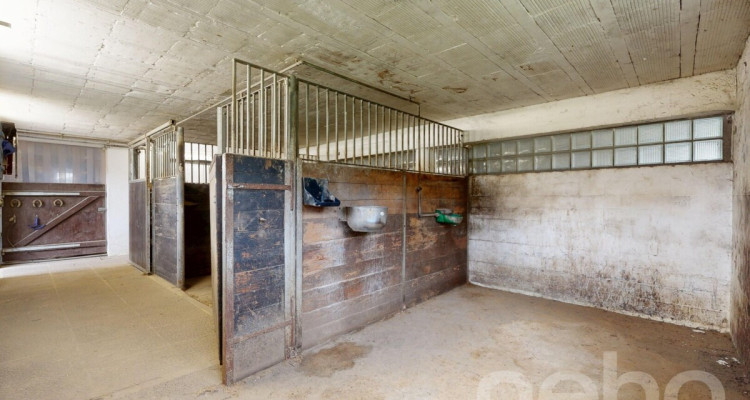 Idyllische Wohnung ideal für Pferdeliebhaber image 10