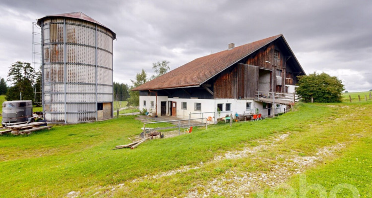 Idyllische Wohnung ideal für Pferdeliebhaber image 11
