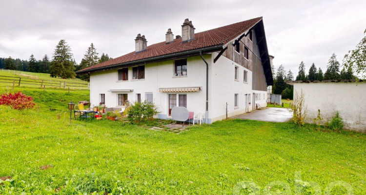 Idyllische Wohnung ideal für Pferdeliebhaber image 12