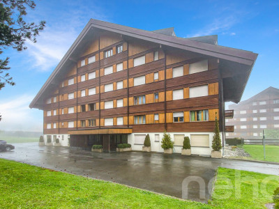 Villars sur Ollon - Studio à la montagne + cave privée image 10