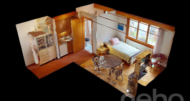 Villars sur Ollon - Studio à la montagne + cave privée image 11