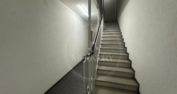 Un charmant 2,5P à Champel  image 1