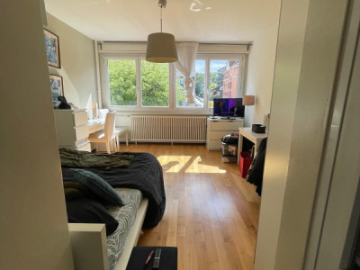 Charmant studio meublé avec balcon – Secteur HUG / Université image 1