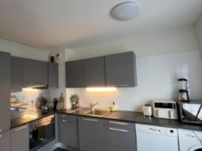 Nous vous proposons un magnifique appartement 3 pièces situé a châtelaine image 4