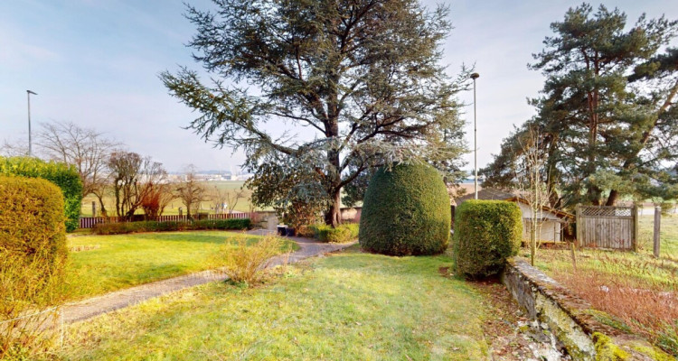 Charmante 10-Zimmer Villa mit Einliegerwohnung image 2