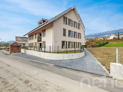 Le dernier joyau de la promotion La Pétillante, à Champagne image 11