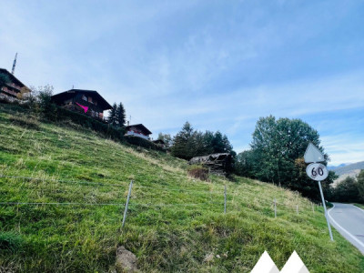 PARCELLE DE 6502 M2, ZONE IMMEUBLE / 0.63, LES MASSES image 1