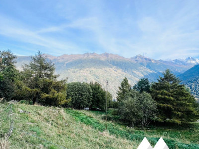 PARCELLE DE 6502 M2, ZONE IMMEUBLE / 0.63, LES MASSES image 2