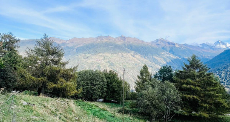 PARCELLE DE 6502 M2, ZONE IMMEUBLE / 0.63, LES MASSES image 2