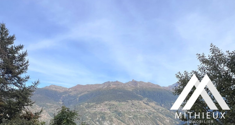 PARCELLE DE 6502 M2, ZONE IMMEUBLE / 0.63, LES MASSES image 3