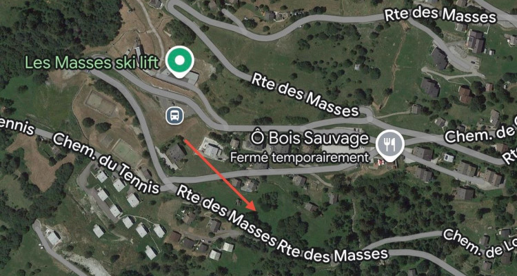 PARCELLE DE 6502 M2, ZONE IMMEUBLE / 0.63, LES MASSES image 4