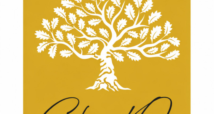 Un attique de rêve de 3,5 pièces avec montagnes pour horizon image 8