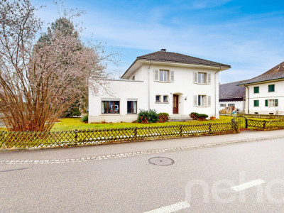 Familienfreundliches Einfamilienhaus mit grossem Grundstück image 3