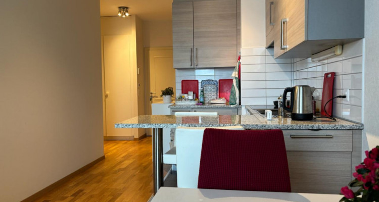 Magnifique 2 pièces proche des Organisations Internationales image 1