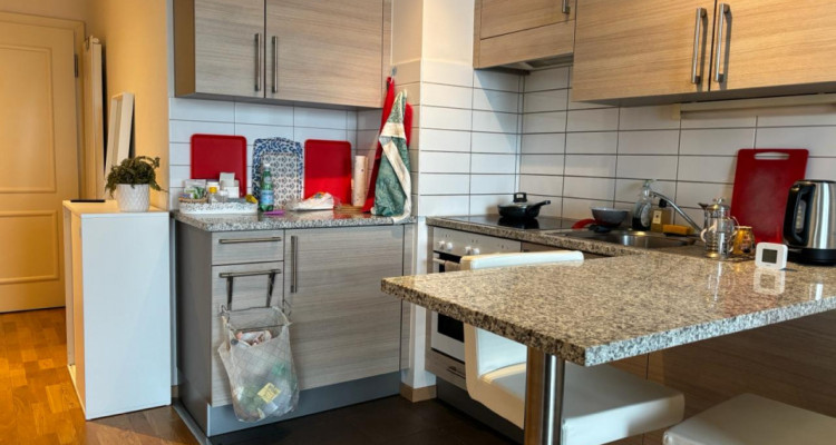 Magnifique 2 pièces proche des Organisations Internationales image 2