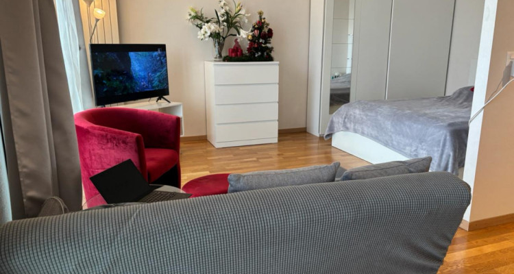 Magnifique 2 pièces proche des Organisations Internationales image 6