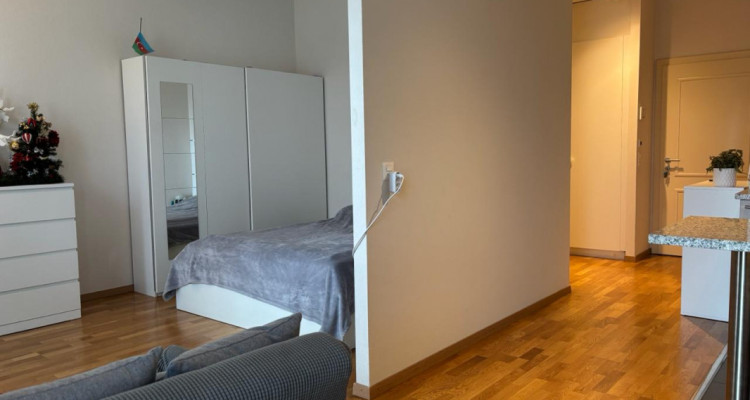 Magnifique 2 pièces proche des Organisations Internationales image 7