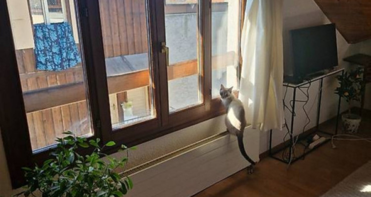 Appartement 3 pièces à Chêne-Bourg image 2