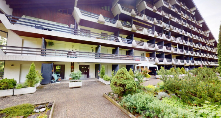 Exclusif : Studio rénové avec terrasse de plein pied image 1