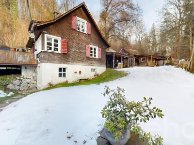 Freistehendes Einfamilienhaus für Naturliebhaber in Birmensdorf ZH image 2