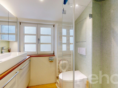 Freistehendes Einfamilienhaus für Naturliebhaber in Birmensdorf ZH image 10