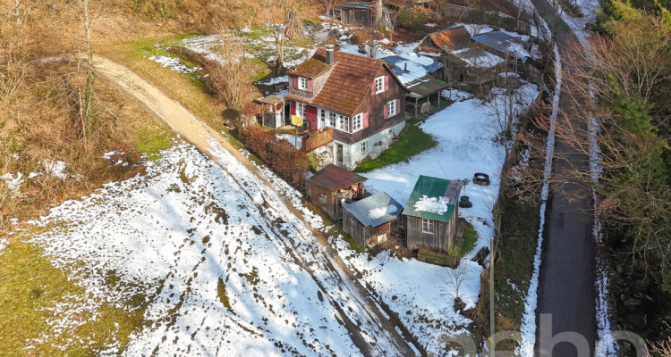 Freistehendes Einfamilienhaus für Naturliebhaber in Birmensdorf ZH image 1