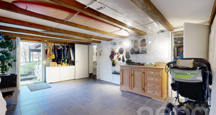 Freistehendes Einfamilienhaus für Naturliebhaber in Birmensdorf ZH image 12