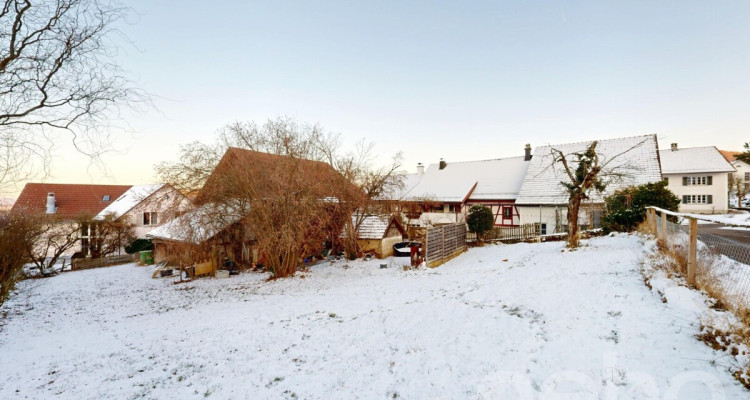 Attraktives 6-Zimmer-Riegelhaus mit Scheune image 9