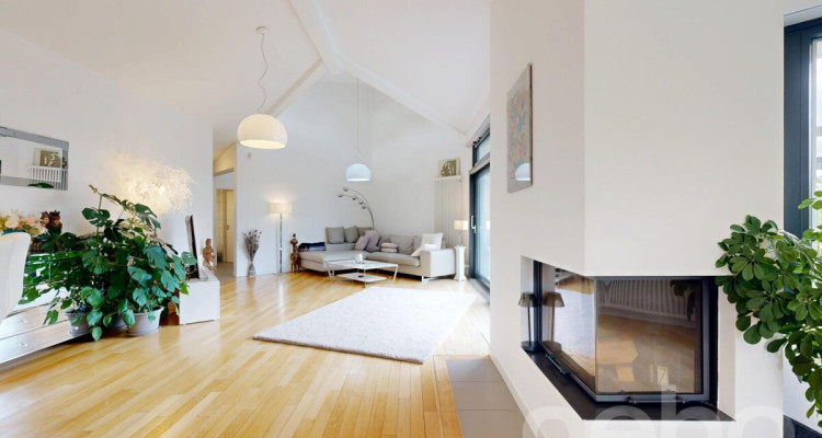 Spacieuse villa avec de magnifiques volumes, grand jardin et piscine image 1