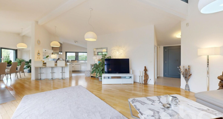 Spacieuse villa avec de magnifiques volumes, grand jardin et piscine image 2