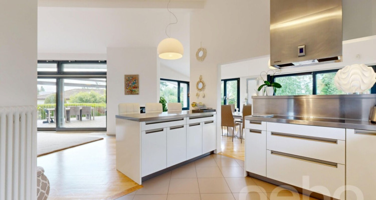 Spacieuse villa avec de magnifiques volumes, grand jardin et piscine image 8