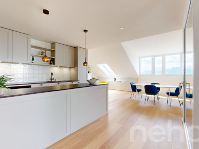 Superbe duplex en attique avec terrasse et vue panoramique image 8