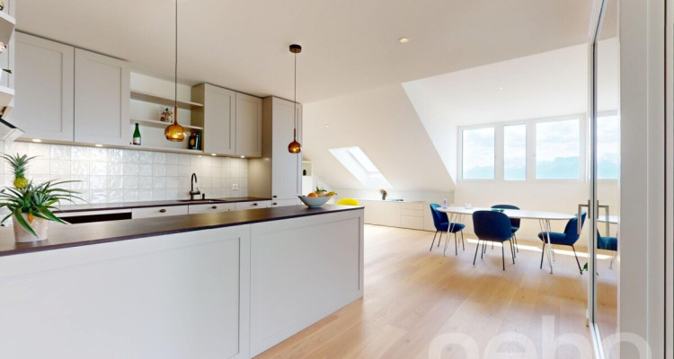 Superbe duplex en attique avec terrasse et vue panoramique image 8