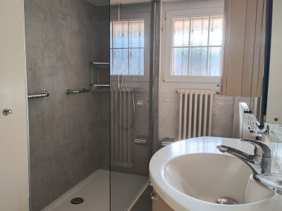 Maison familiale avec appartement 2.5 pièces indépendant image 8