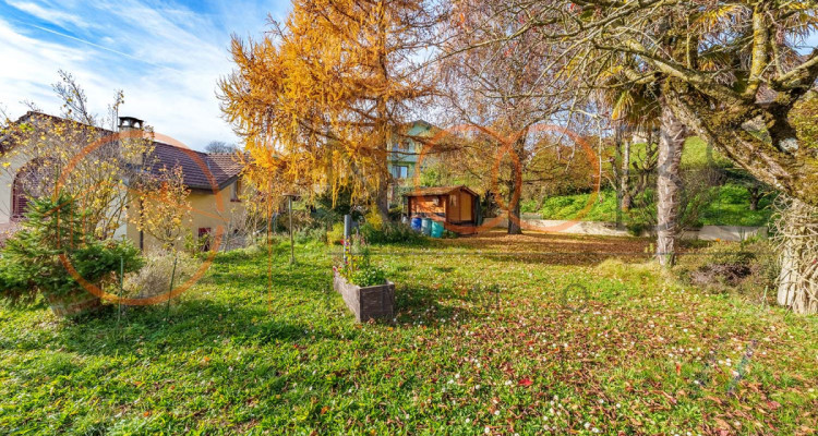 MAISON FAMILIALE DE 4.5 PIECES image 5