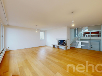 Volumes d?exception et vue lac, duplex à réinventer à Colombier image 2