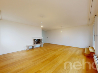 Volumes d?exception et vue lac, duplex à réinventer à Colombier image 12