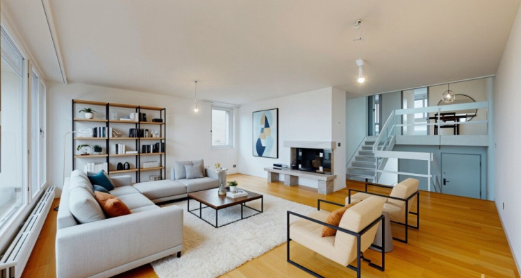 Volumes d?exception et vue lac, duplex à réinventer à Colombier image 1