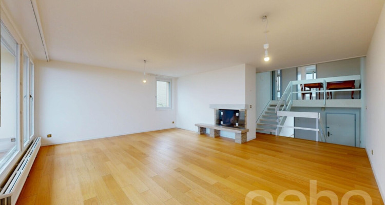 Volumes d?exception et vue lac, duplex à réinventer à Colombier image 2