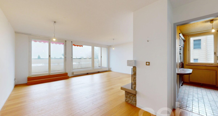 Volumes d?exception et vue lac, duplex à réinventer à Colombier image 3