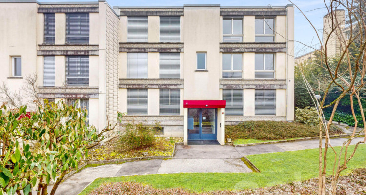 Volumes d?exception et vue lac, duplex à réinventer à Colombier image 9