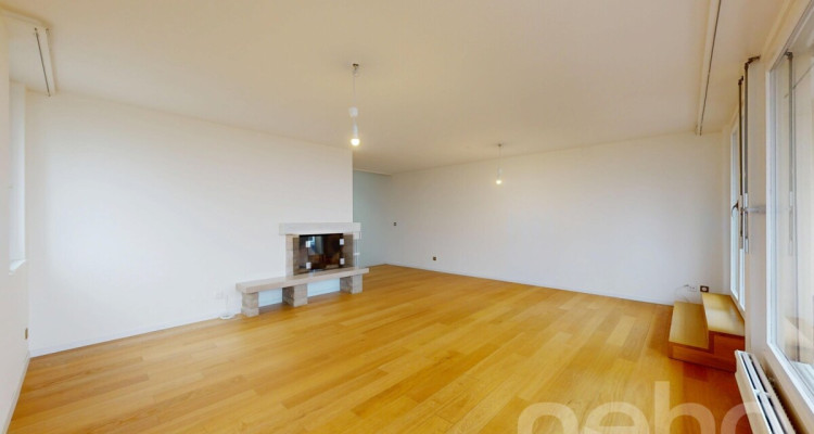 Volumes d?exception et vue lac, duplex à réinventer à Colombier image 12